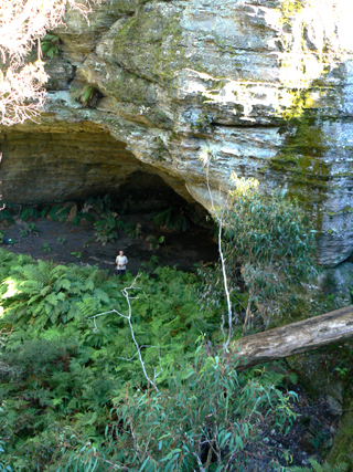  - Music Bowl Cave